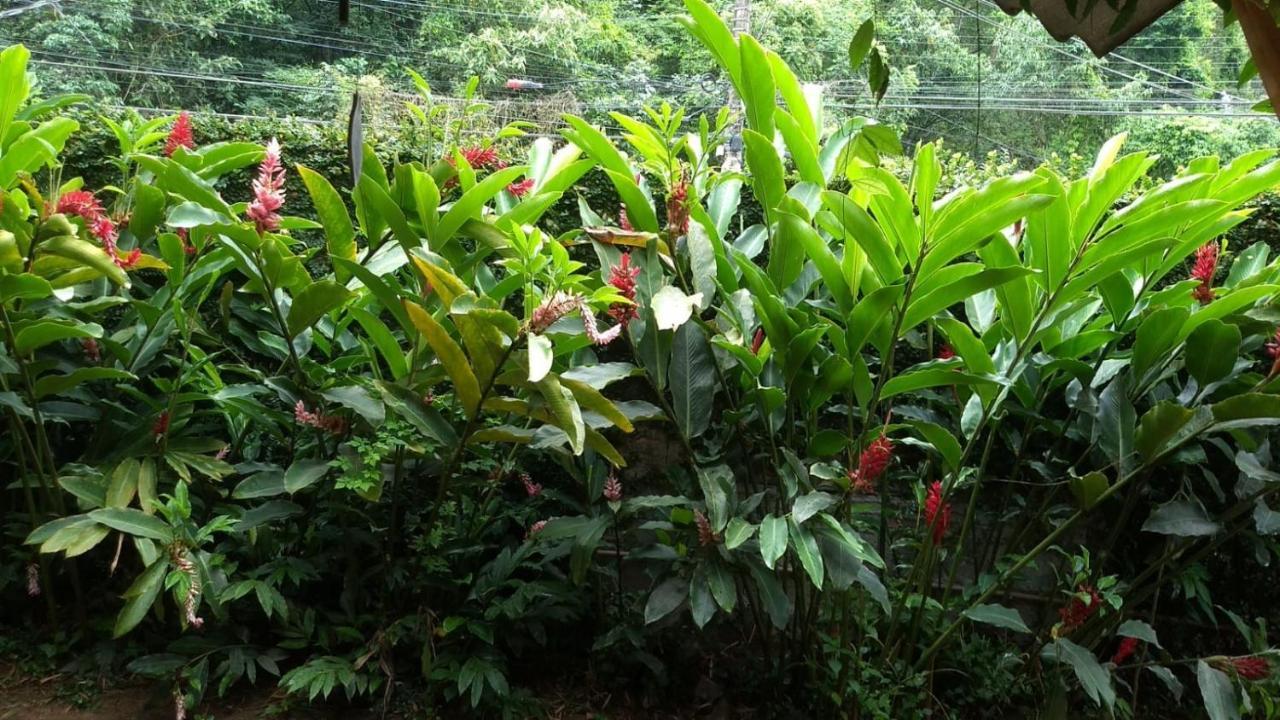 Suites Cocaia 伊利亚贝拉 外观 照片